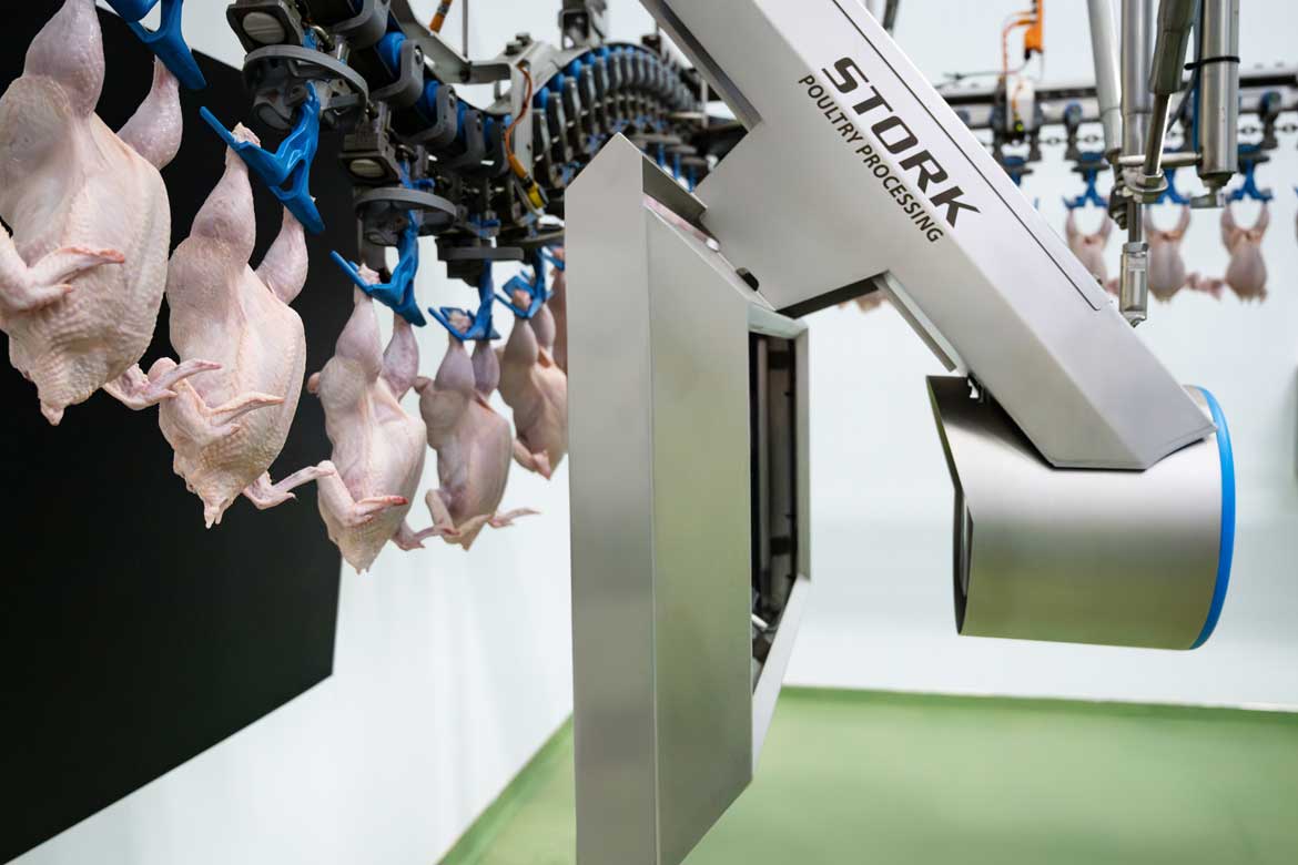 Maelor Foods Chicken Processing