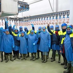 Cultural Evolution at Maelor Foods